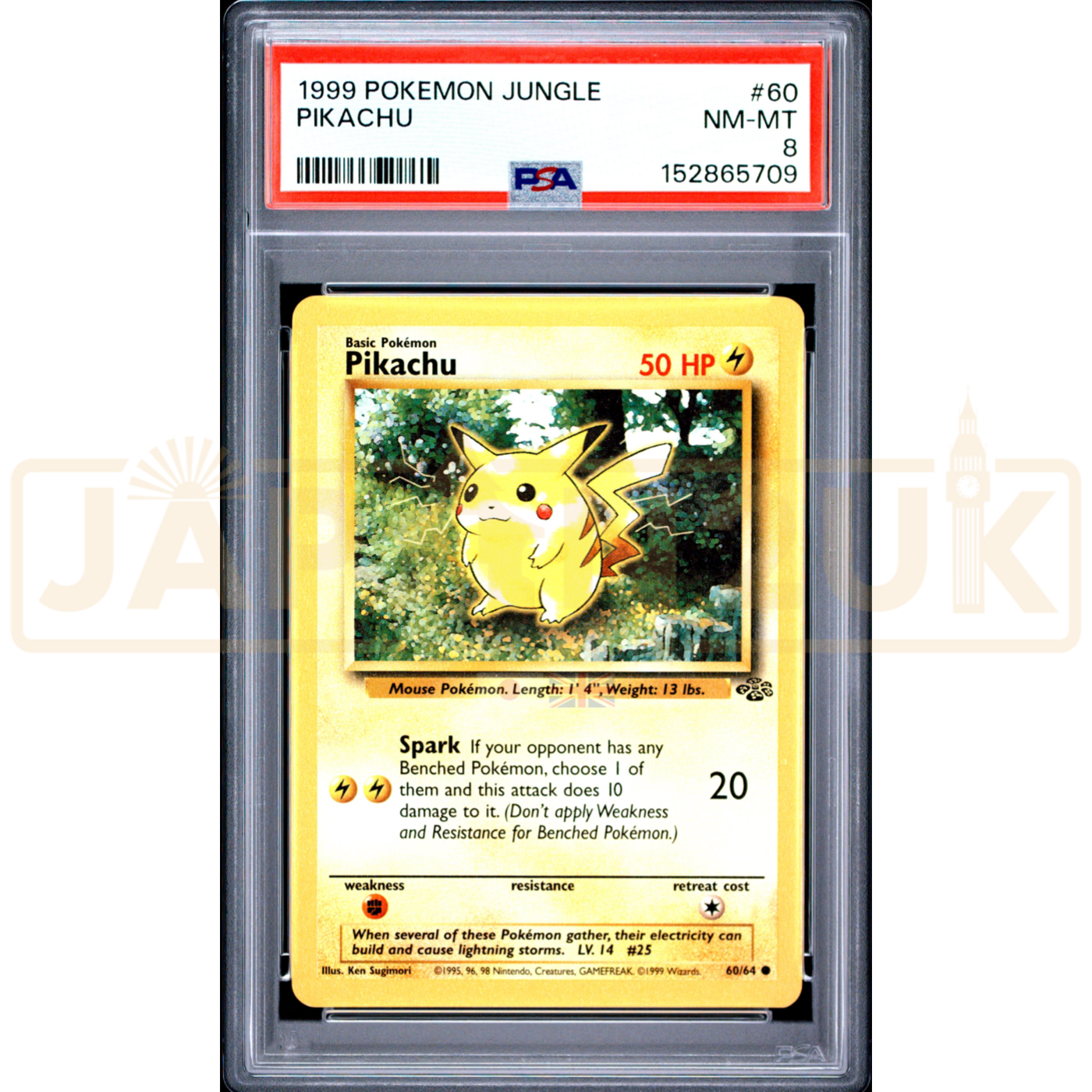 Pokemon Pikachu Jungle 60/64 English Graded Card PSA 8 #152865709