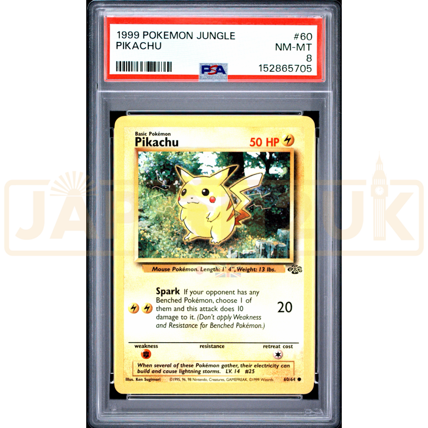 Pokemon Pikachu Jungle 60/64 English Graded Card PSA 8 #152865705