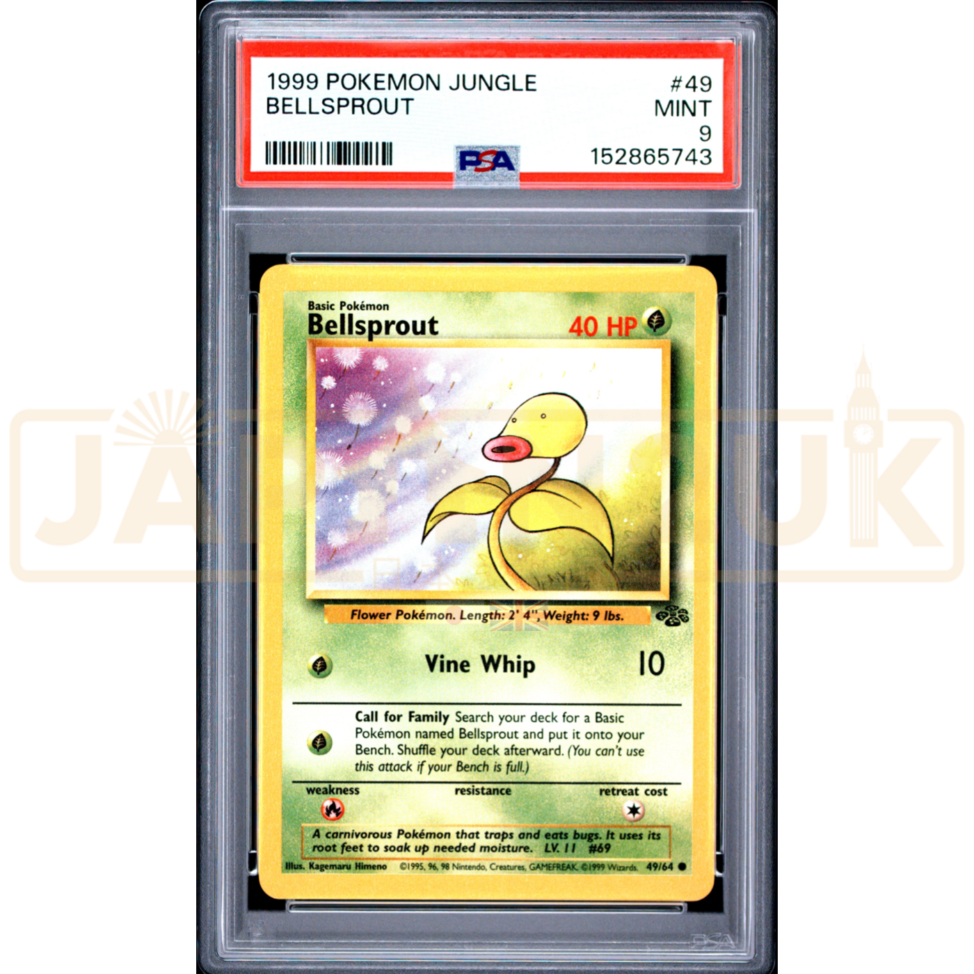 Pokemon Bellsprout Jungle 49/64 English Graded Card PSA 9 #152865743