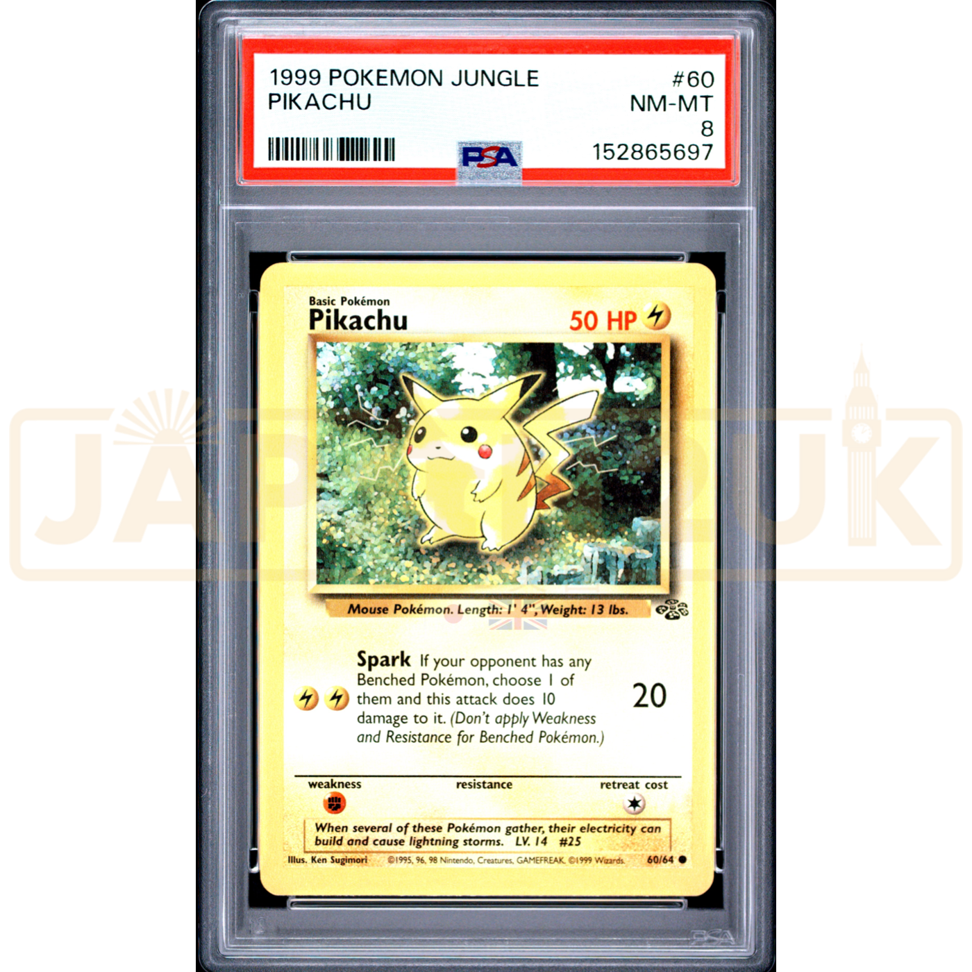 Pokemon Pikachu Jungle 60/64 English Graded Card PSA 8 #152865697